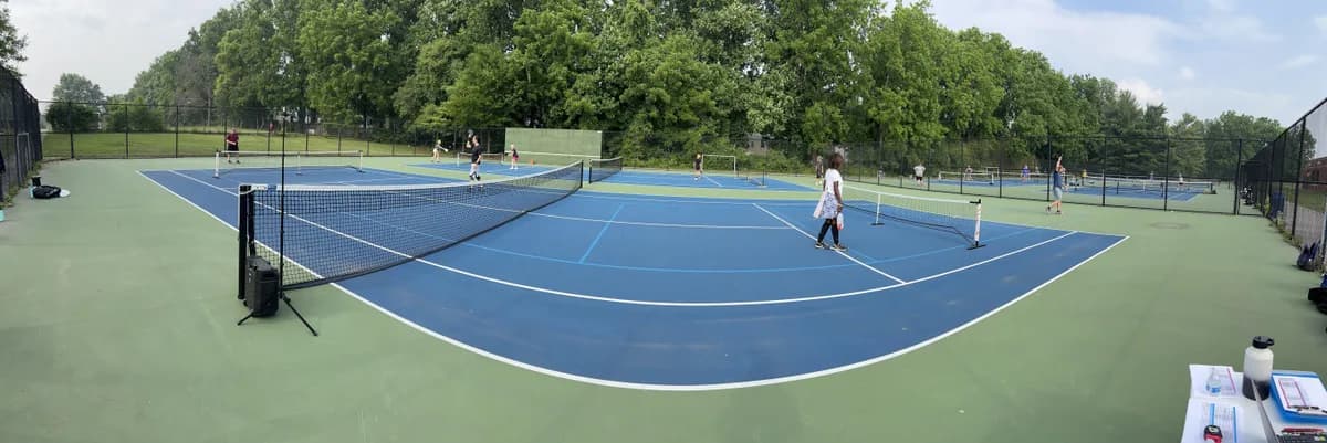 Outdoor pickleball courts and nets surrounded by trees